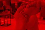 Absorbed in red light.