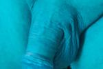 My Big Dick