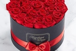 i love roses !!!!