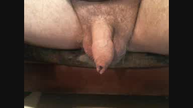 my cock