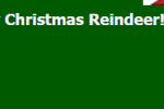 My Christmas Reindeers!