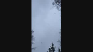feel my winter