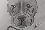 Pit Bull Art 2