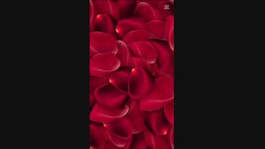 Happy Valentin My Love