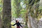 Into the quiet