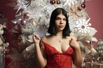 Merry Christmas🎄