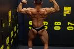 Big back definition