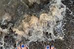 Feet