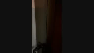 Twerking sexy dance 🔥