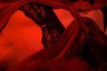 tina davil — lace underwear