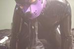 siriusmuttsky live Chaturbate webcam gallery thumbnail