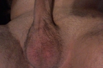 cock