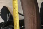 My dick size