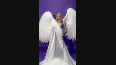 angel)