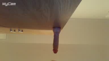 dildo in ass