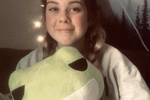 Frog plushy
