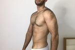 Brief