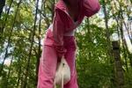 My forest walk