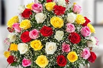 send me flowers and chocolates!❤️