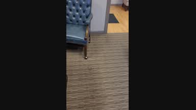 Masturbation