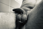Black and White