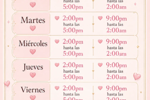 my schedule