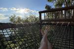 Relax