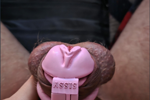 latina kia — cage cock of kevin