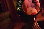 Belated Christmas photos :3