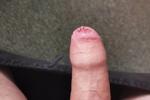 jimmylee live Chaturbate webcam gallery thumbnail