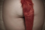 Tail 💋🍑💋