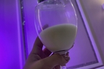 My tasty milk
