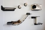 my dream - buy such house for my cat