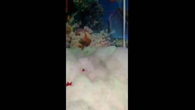 wet feet