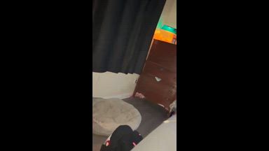 Hot cream pie with anal plug