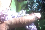 Flower Power