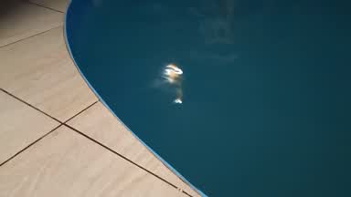 Decided to swim