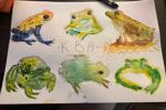 my art and stuff