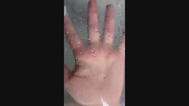Dripping Desire