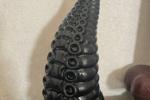 Black tentacles octopus