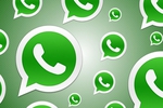 my Watssapp 1555 tkns