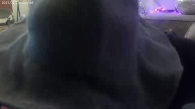 Dani Blowjob