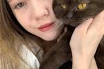Say hey to this two kitties