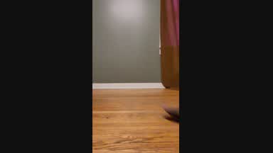 boy ina thong — Twerking videos