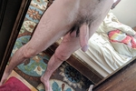 johnny live Chaturbate webcam gallery thumbnail