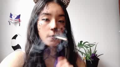 Smoking kitty