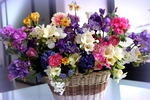 Give me flowers!