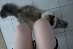 kitty<3