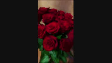 my favorite flowers roses😍