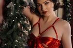 Your Christmas gift